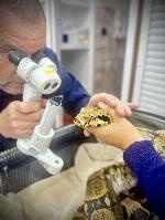 Ze života kliniky - fotky