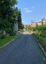 zahrada