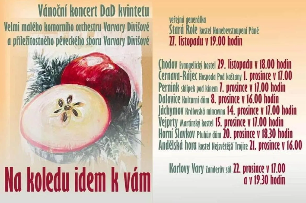 Vánoční koncert DaD kvintetu