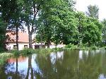 Rybník "U Koruny" Žernovice