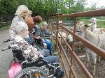 Akce - návštěva ZOO