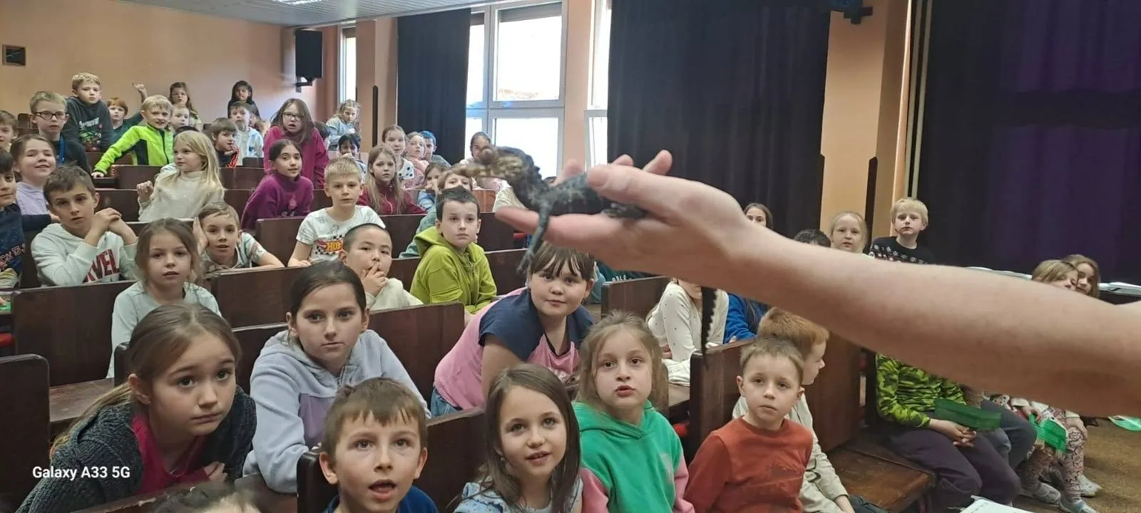 Jak se krotí krokodýli