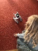 Fotografie z projektového dne s roboty a umělou inteligencí