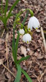 78_Výhledna - Ze stavby