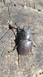 110_Výhledna - Ze stavby