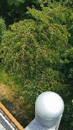 111_Výhledna - Ze stavby