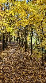 18_Výhledna - podzim