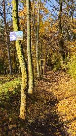 17_Výhledna - podzim