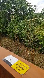 46_Výhledna - konstrukce