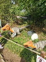 Návštěva u dinosaurů