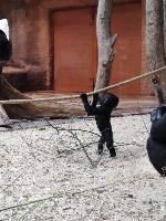 Zima v ZOO