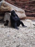 Zima v ZOO