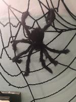 halloween 21