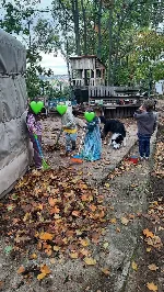 Revitalizace zahrady