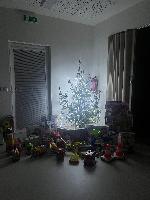 vánoční stromeček a spousta dárků